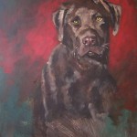 Lavrador Retreiver - Acrylic